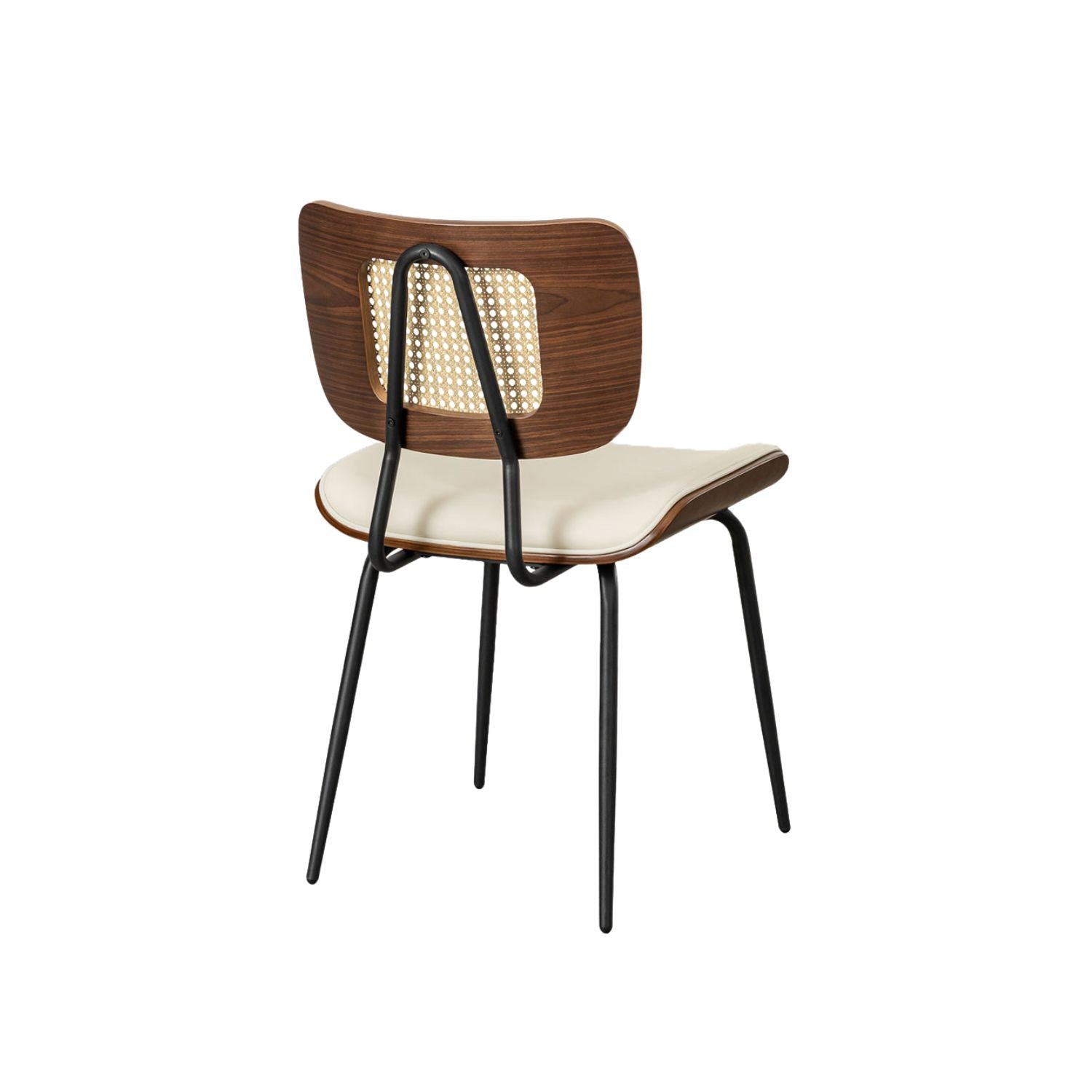 Silla Camelia