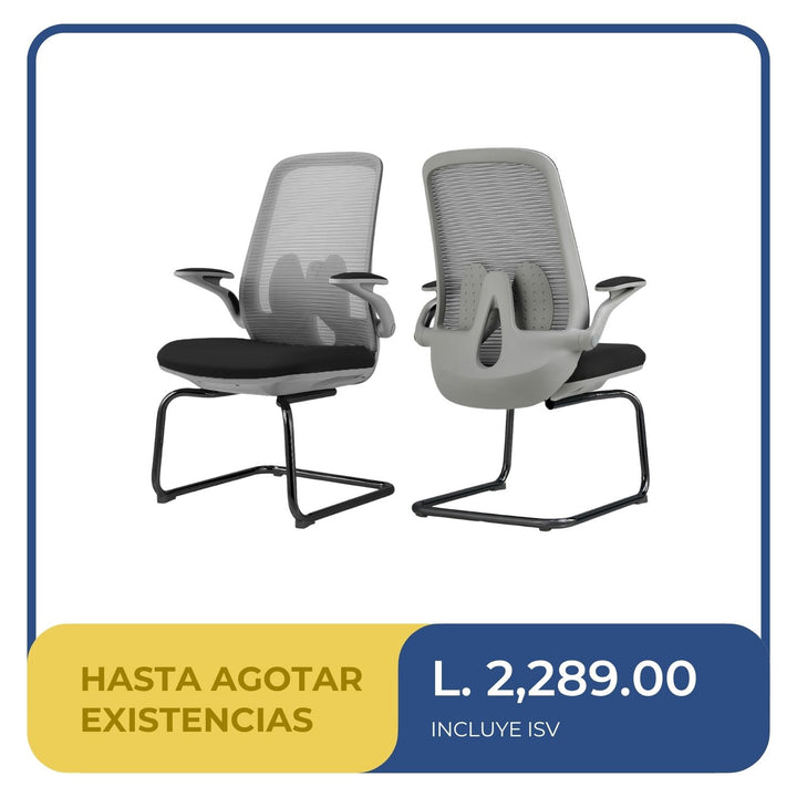 Silla Visita